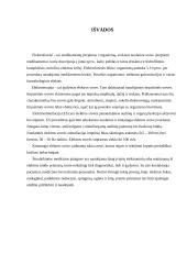 Elektroforezė 18 puslapis