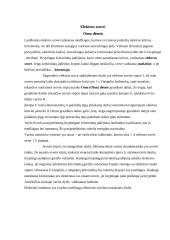 Elektroforezė 3 puslapis