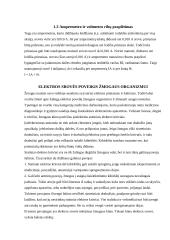 Elektroforezė 5 puslapis