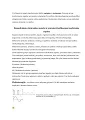 Elektroforezė 9 puslapis