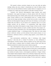 Elektromagnetinių bangų poveikis žmogaus organizmui 11 puslapis