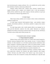 Elektromagnetinių bangų poveikis žmogaus organizmui 12 puslapis