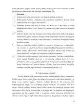 Elektromagnetinių bangų poveikis žmogaus organizmui 14 puslapis