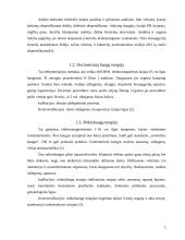 Elektromagnetinių bangų poveikis žmogaus organizmui 5 puslapis