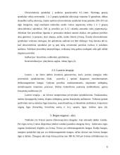 Elektromagnetinių bangų poveikis žmogaus organizmui 8 puslapis