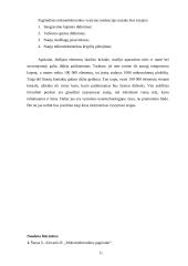 Mikroelektronikos vystymosi istorija 10 puslapis