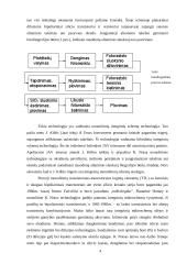 Mikroelektronikos vystymosi istorija 3 puslapis