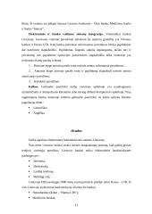 Elektroninė bankininkystė 11 puslapis