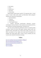 Elektroninė bankininkystė 12 puslapis