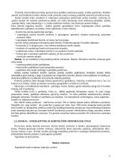 Mokėjimo kortelių rinka Lietuvoje 12 puslapis