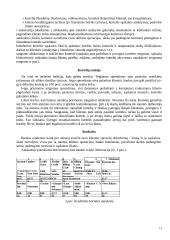 Mokėjimo kortelių rinka Lietuvoje 13 puslapis