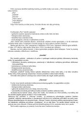 Mokėjimo kortelių rinka Lietuvoje 15 puslapis