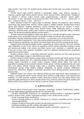 Mokėjimo kortelių rinka Lietuvoje 3 puslapis