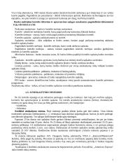 Mokėjimo kortelių rinka Lietuvoje 5 puslapis