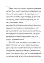 Elektroninė komercija Lietuvoje 12 puslapis