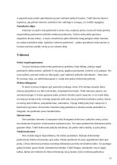 Elektroninė komercija Lietuvoje 13 puslapis