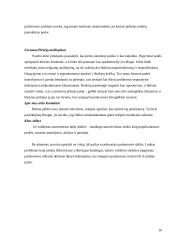 Elektroninė komercija Lietuvoje 16 puslapis