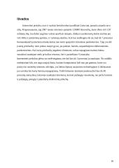 Elektroninė komercija Lietuvoje 18 puslapis