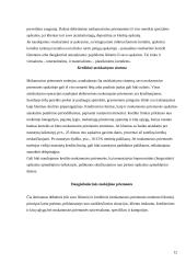 Elektroninės atsiskaitymo sistemos struktūra 12 puslapis