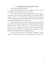 Elektroninės bankininkystės raida ir perspektyvos Lietuvoje 3 puslapis