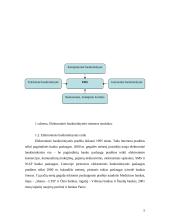 Elektroninės bankininkystės raida ir perspektyvos Lietuvoje 4 puslapis
