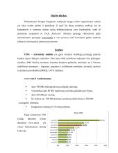 Elektroninio pašto gamybos ir palaikymo proceso valdymo praktika UAB "Forticom" svetainėje www.one.lt 3 puslapis