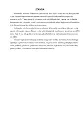 Elektroninio verslo privalumai ir trūkumai 2 puslapis