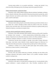 Elektroninio verslo privalumai ir trūkumai 11 puslapis