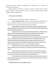 Elektroninio verslo privalumai ir trūkumai 12 puslapis