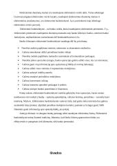 Elektroninio verslo privalumai ir trūkumai 13 puslapis