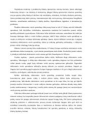 Elektroninio verslo privalumai ir trūkumai 14 puslapis