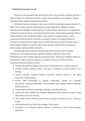 Elektroninio verslo privalumai ir trūkumai 3 puslapis