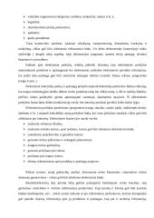 Elektroninio verslo privalumai ir trūkumai 7 puslapis