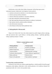 Elektroninio verslo privalumai ir trūkumai 10 puslapis