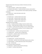 Elektroninis verslas statyboje 12 puslapis