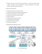 Elektroninis verslas statyboje 5 puslapis