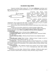 Elektros srovė dujose 2 puslapis