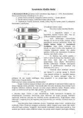 Elektros srovė dujose 3 puslapis