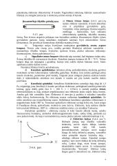 Elektros srovė dujose 4 puslapis