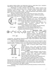 Elektros srovė dujose 5 puslapis