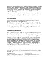 Elgesio etika 7 puslapis