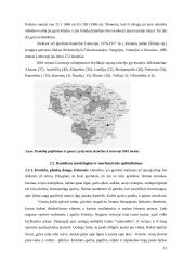 Elnių genetinė įvairovė 10 puslapis