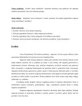 Emigracija ir  “protų nutekėjimas”  2 puslapis