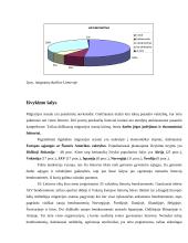 Emigracija ir  “protų nutekėjimas”  11 puslapis