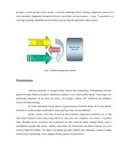 Emigracija ir  “protų nutekėjimas”  12 puslapis