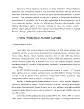 Emigracija ir  “protų nutekėjimas”  3 puslapis