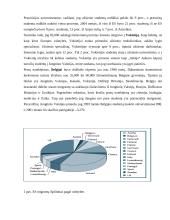 Emigracija ir  “protų nutekėjimas”  8 puslapis