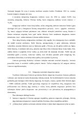 Emigracija. Perspektyvos pasaulyje 12 puslapis