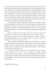 Emigracija. Perspektyvos pasaulyje 16 puslapis