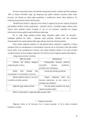 Emigracija. Perspektyvos pasaulyje 18 puslapis